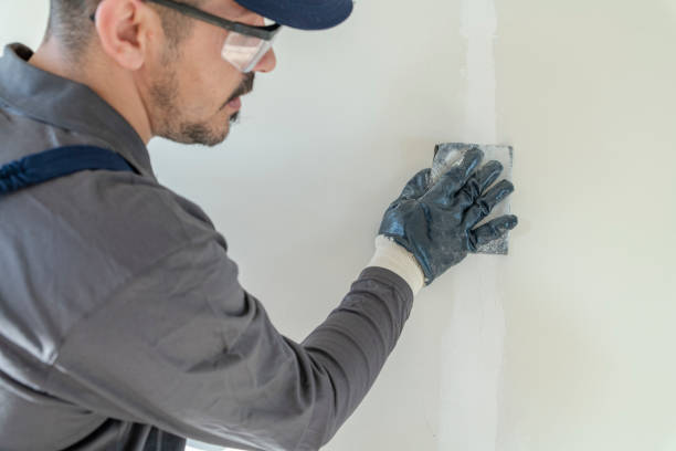 Best Drywall Sanding and Smoothing  in Pierce City, MO