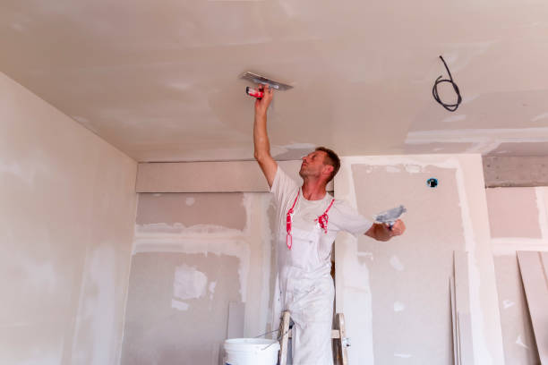 Best Residential Painting  in Pierce City, MO